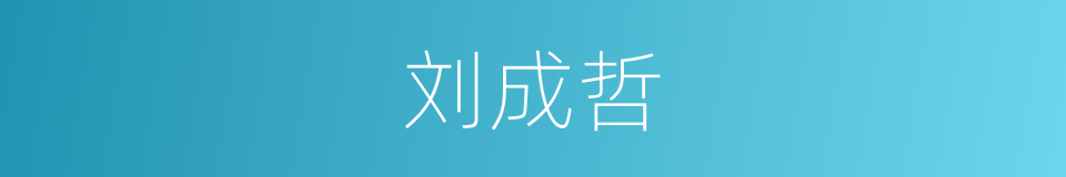 刘成哲的同义词