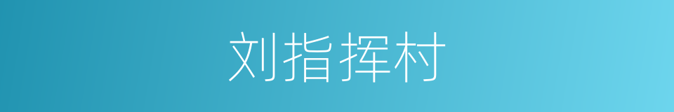 刘指挥村的同义词