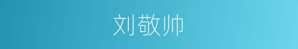 刘敬帅的同义词