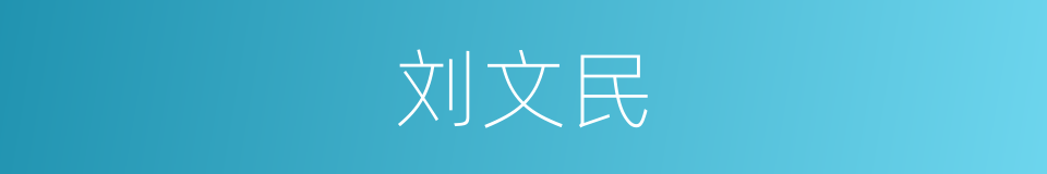 刘文民的同义词