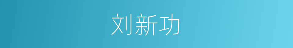 刘新功的同义词