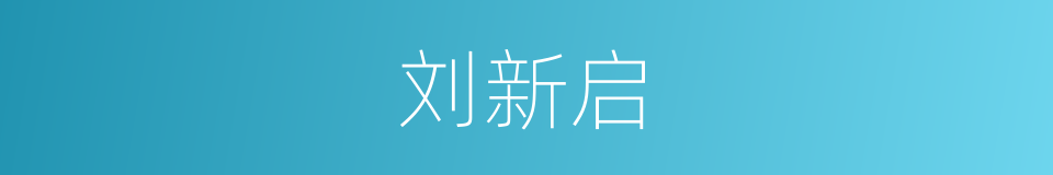 刘新启的同义词