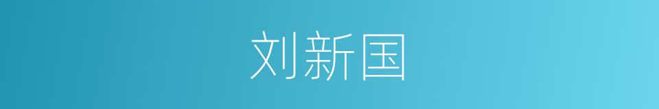 刘新国的同义词