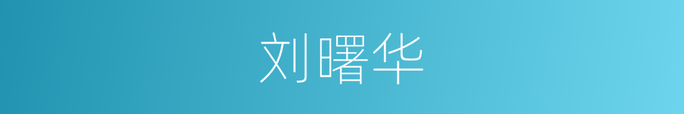 刘曙华的同义词