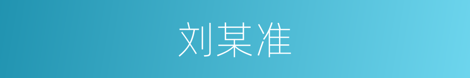 刘某准的同义词