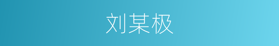 刘某极的同义词
