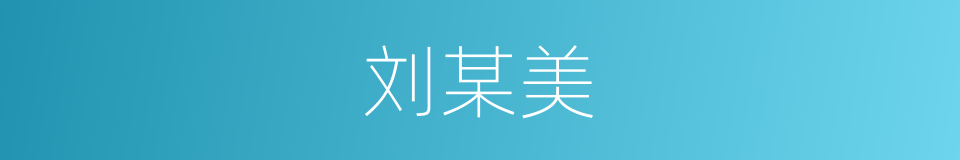 刘某美的同义词