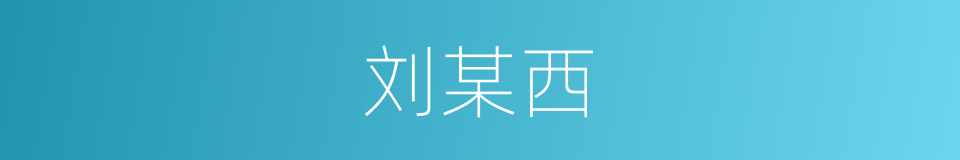 刘某西的同义词