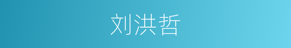 刘洪哲的同义词