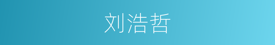 刘浩哲的同义词