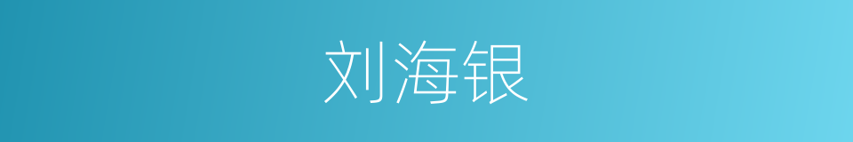 刘海银的同义词