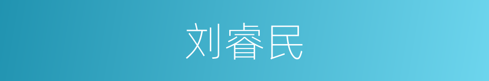 刘睿民的同义词