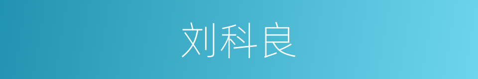 刘科良的同义词