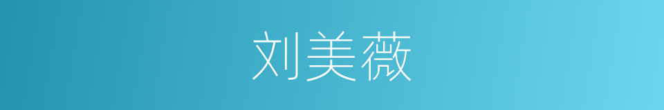 刘美薇的同义词