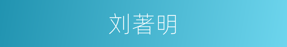 刘著明的同義詞