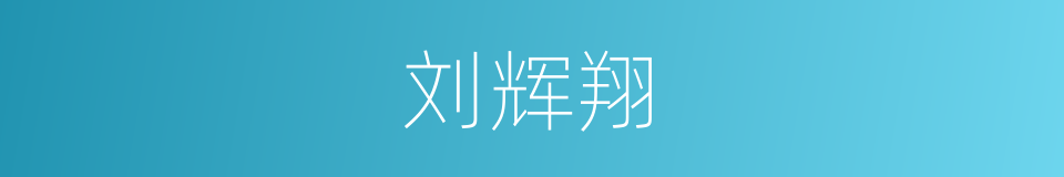 刘辉翔的同义词