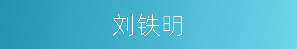 刘铁明的同义词