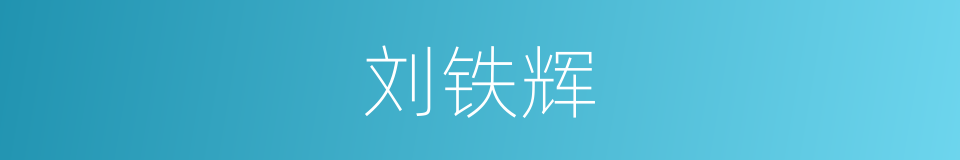 刘铁辉的同义词