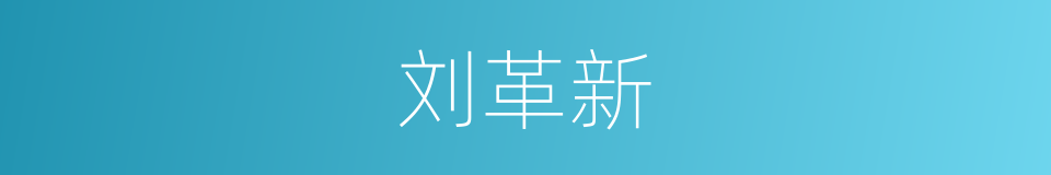 刘革新的同义词
