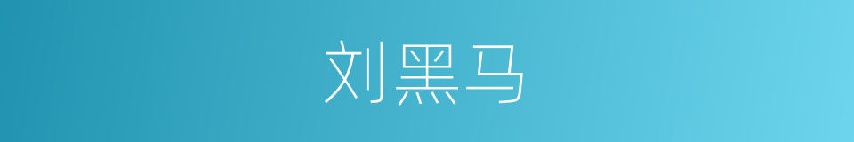 刘黑马的同义词