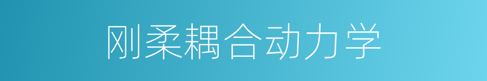 刚柔耦合动力学的同义词