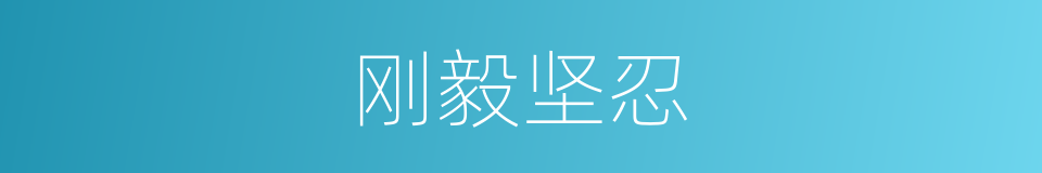 刚毅坚忍的同义词