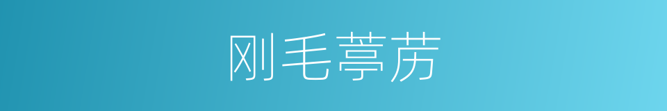 刚毛葶苈的同义词