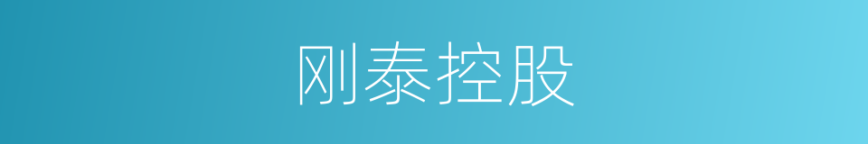 刚泰控股的同义词