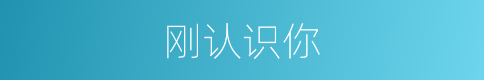 刚认识你的同义词