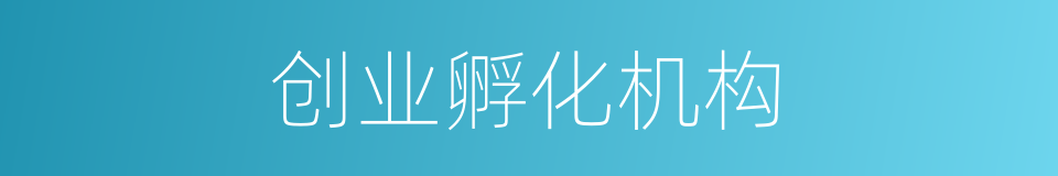 创业孵化机构的同义词