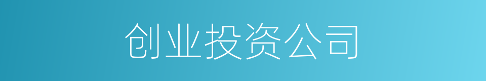创业投资公司的同义词