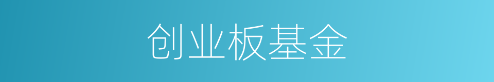 创业板基金的同义词
