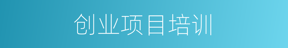 创业项目培训的同义词