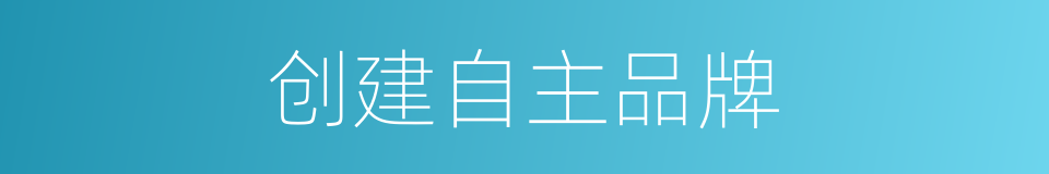 创建自主品牌的同义词