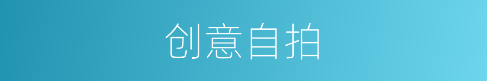 创意自拍的同义词