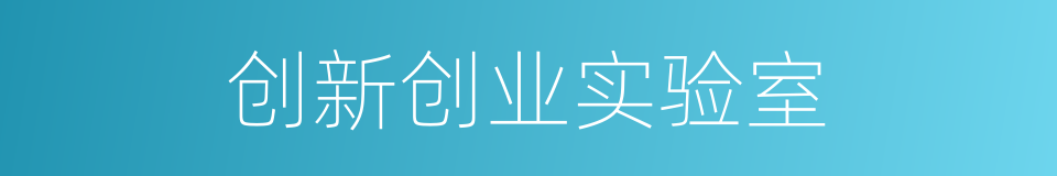 创新创业实验室的同义词