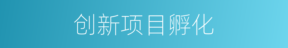 创新项目孵化的同义词