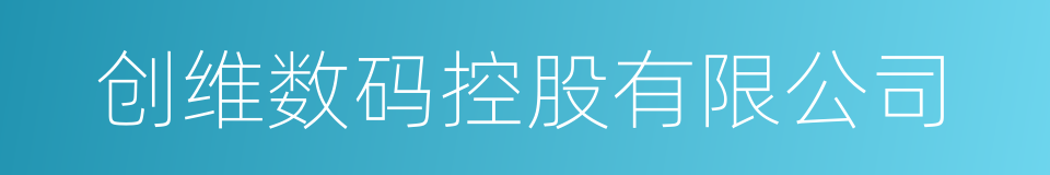 创维数码控股有限公司的同义词