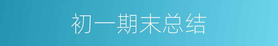 初一期末总结的同义词