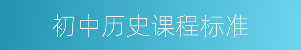 初中历史课程标准的同义词