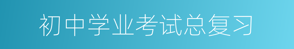 初中学业考试总复习的同义词