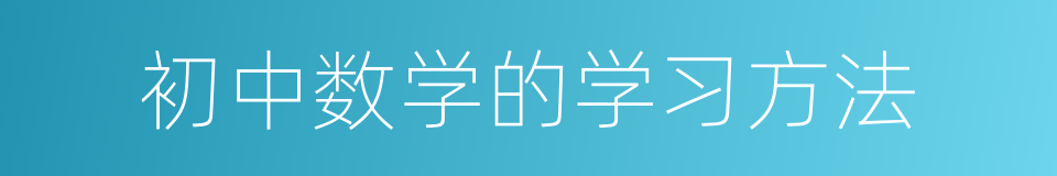 初中数学的学习方法的同义词