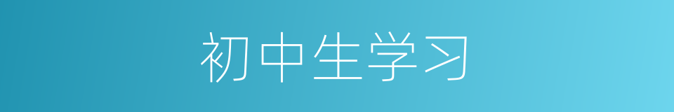 初中生学习的意思