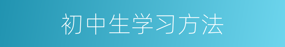 初中生学习方法的同义词