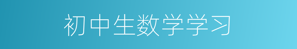 初中生数学学习的同义词