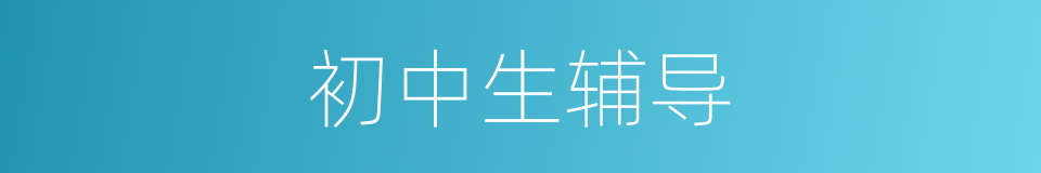 初中生辅导的同义词