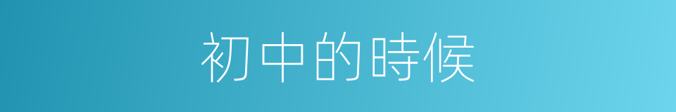 初中的時候的同義詞