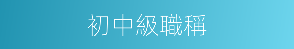 初中級職稱的同義詞