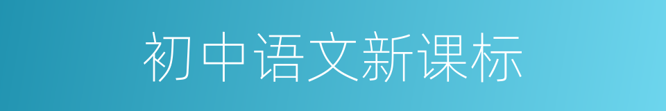 初中语文新课标的同义词