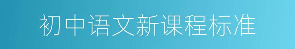 初中语文新课程标准的同义词